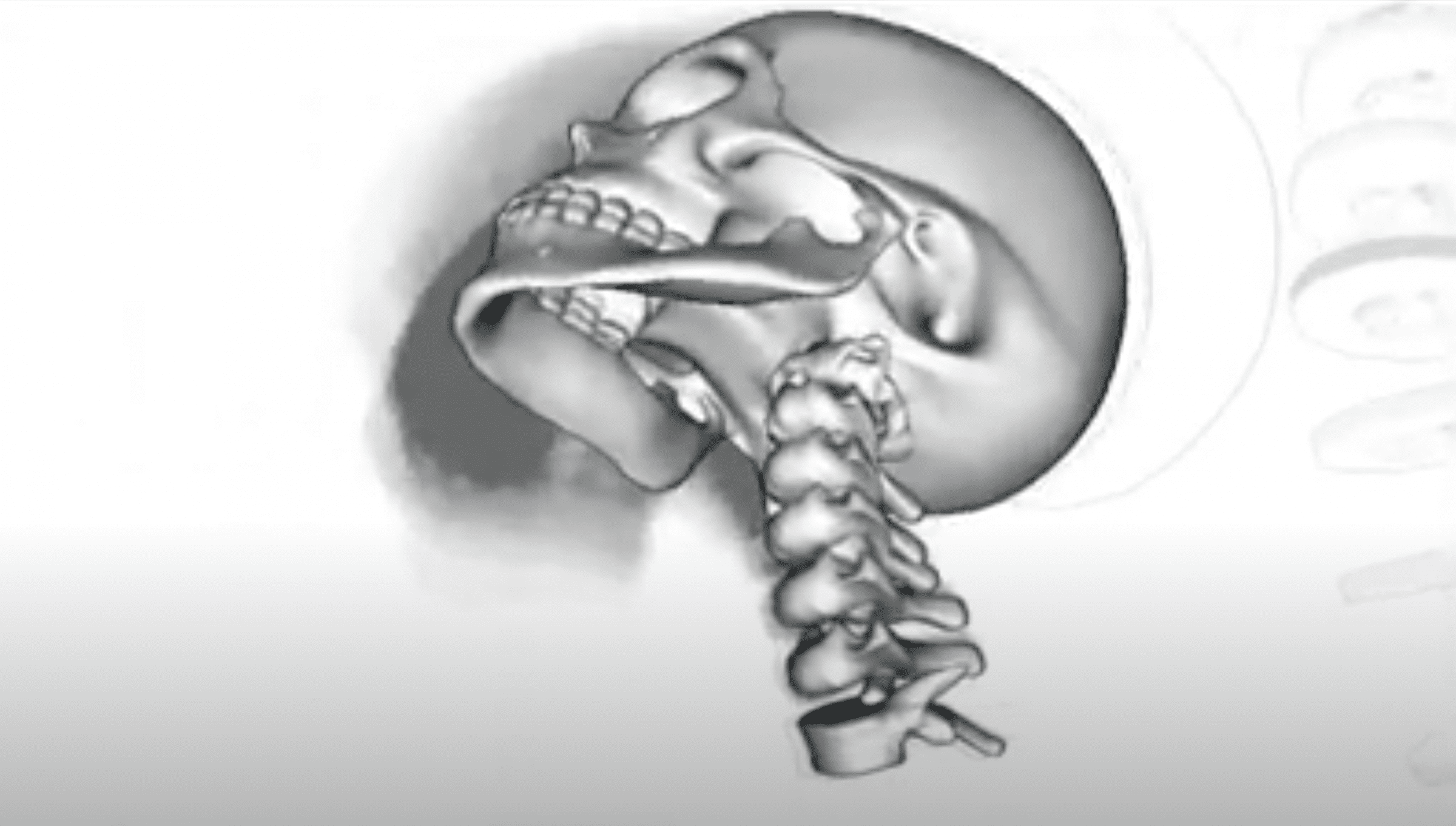 Trend-Centric Motion Visualization: Designing and Applying a New Strategy for Analyzing Scientific Motion Collections